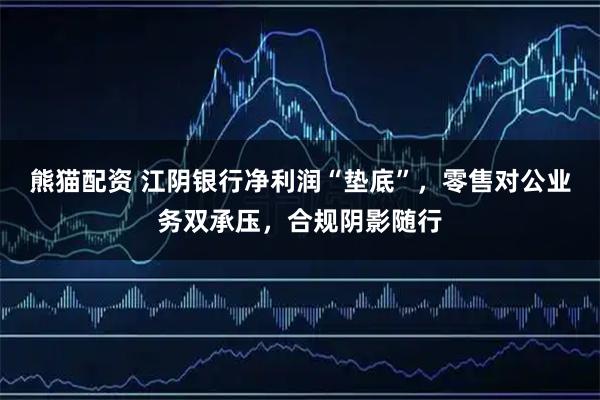 熊猫配资 江阴银行净利润“垫底”，零售对公业务双承压，合规阴影随行